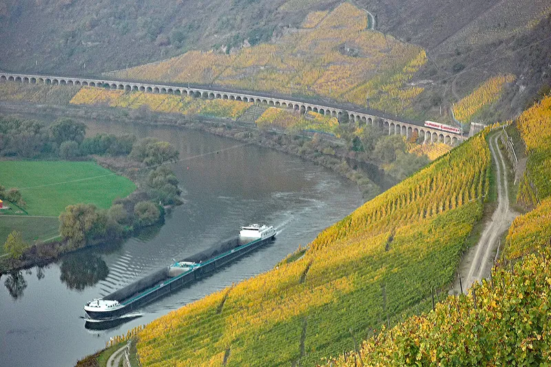 Weinberge und Bahnstrecke entlang der Mosel bei Puenderich