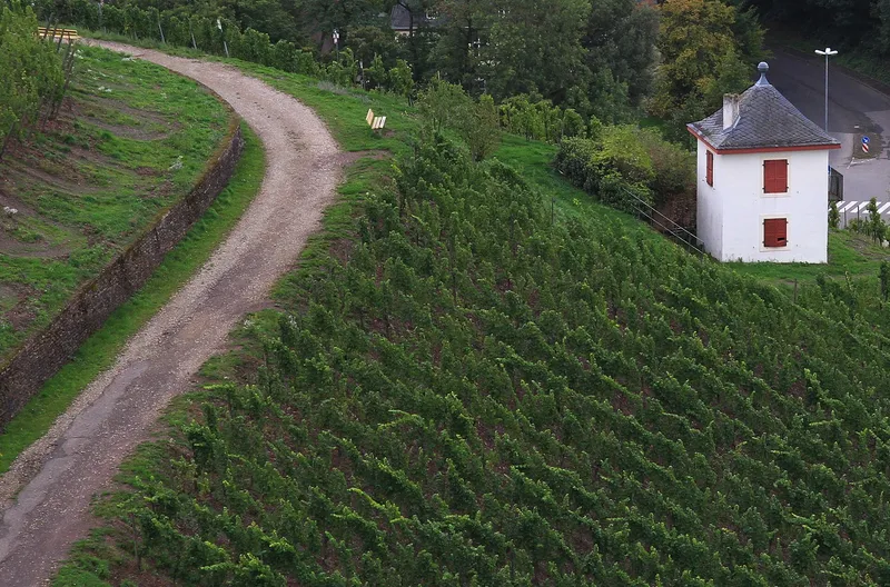 Historisches Weinbergshaeuschen in den Weinbergen von Trier-Olewig