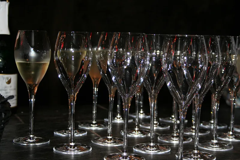 Mehrere gefuellte Weinglaeser nebeneinander bei einer Weinprobe